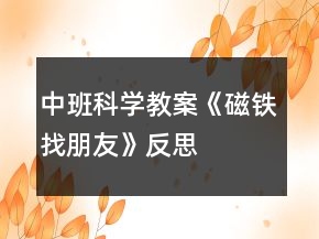 中班科學(xué)教案《磁鐵找朋友》反思