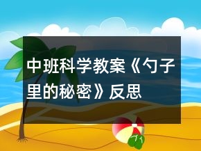 中班科學教案《勺子里的秘密》反思