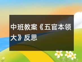 中班教案《五官本領大》反思