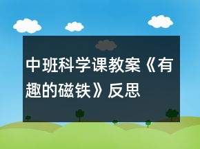 中班科學課教案《有趣的磁鐵》反思
