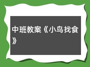 中班教案《小鳥找食》