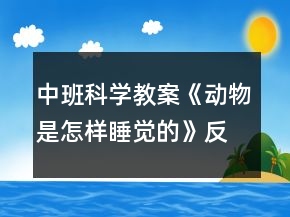 中班科學(xué)教案《動(dòng)物是怎樣睡覺的》反思