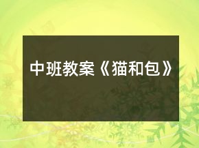 中班教案《貓和包》