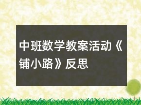 中班數(shù)學(xué)教案活動《鋪小路》反思