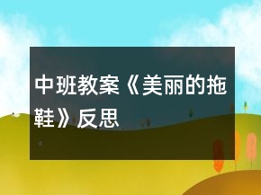中班教案《美麗的拖鞋》反思