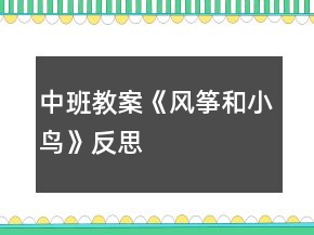 中班教案《風(fēng)箏和小鳥》反思