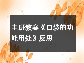 中班教案《口袋的功能用處》反思