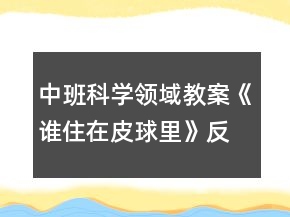 中班科學(xué)領(lǐng)域教案《誰住在皮球里》反思