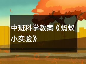 中班科學(xué)教案《螞蟻小實(shí)驗(yàn)》