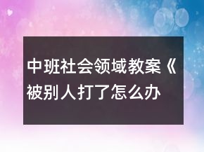 中班社會領(lǐng)域教案《被別人打了怎么辦》反思