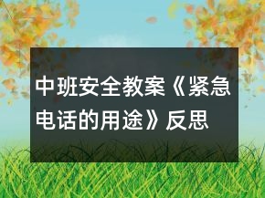 中班安全教案《緊急電話的用途》反思