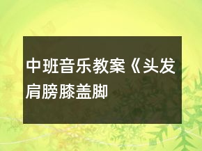 中班音樂教案《頭發(fā)、肩膀、膝蓋、腳》反思