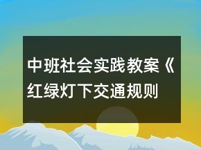 中班社會實(shí)踐教案《紅綠燈下交通規(guī)則齊遵守》反思
