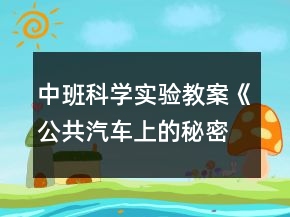 中班科學(xué)實(shí)驗(yàn)教案《公共汽車上的秘密》反思