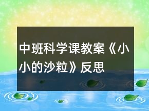 中班科學(xué)課教案《小小的沙粒》反思