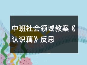 中班社會(huì)領(lǐng)域教案《認(rèn)識(shí)藕》反思