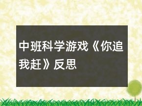 中班科學(xué)游戲《你追我趕》反思