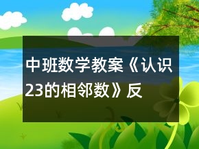 中班數(shù)學教案《認識2、3的相鄰數(shù)》反思