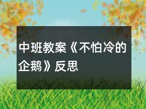 中班教案《不怕冷的企鵝》反思