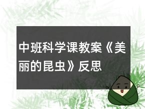 中班科學(xué)課教案《美麗的昆蟲(chóng)》反思