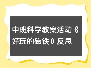 中班科學教案活動《好玩的磁鐵》反思
