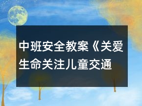 中班安全教案《關(guān)愛生命關(guān)注兒童交通安全》反思