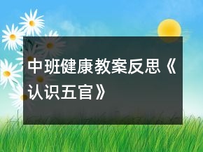 中班健康教案反思《認(rèn)識五官》