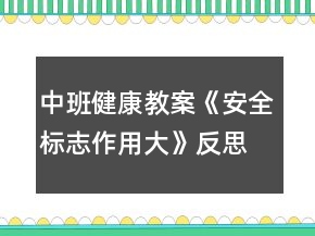中班健康教案《安全標志作用大》反思