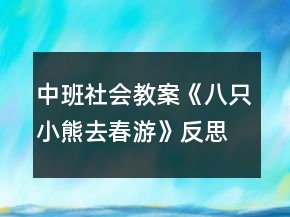 中班社會(huì)教案《八只小熊去春游》反思