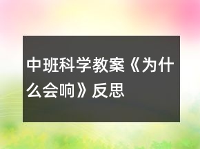 中班科學(xué)教案《為什么會響》反思