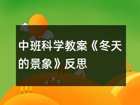 中班科學教案《冬天的景象》反思