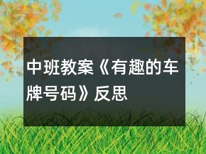 中班教案《有趣的車牌號(hào)碼》反思