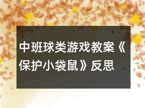中班球類游戲教案《保護小袋鼠》反思