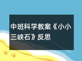 中班科學(xué)教案《小小三峽石》反思