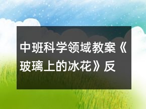 中班科學(xué)領(lǐng)域教案《玻璃上的冰花》反思