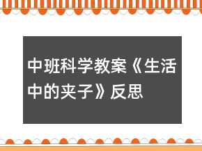中班科學(xué)教案《生活中的夾子》反思