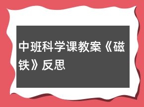 中班科學(xué)課教案《磁鐵》反思