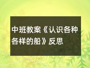 中班教案《認(rèn)識(shí)各種各樣的船》反思
