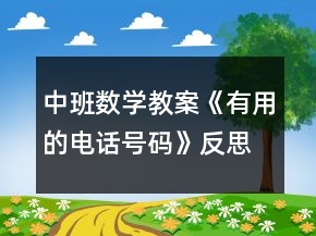 中班數(shù)學教案《有用的電話號碼》反思