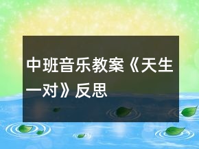 中班音樂教案《天生一對》反思