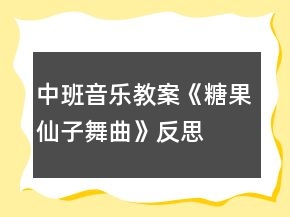 中班音樂教案《糖果仙子舞曲》反思
