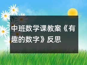 中班數(shù)學(xué)課教案《有趣的數(shù)字》反思