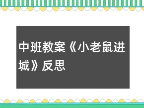 中班教案《小老鼠進城》反思