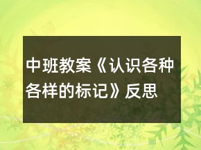 中班教案《認識各種各樣的標記》反思