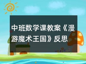 中班數(shù)學課教案《漫游魔術(shù)王國》反思