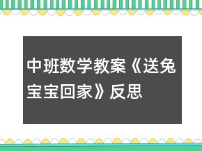 中班數(shù)學教案《送兔寶寶回家》反思
