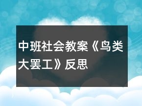 中班社會(huì)教案《鳥類大罷工》反思