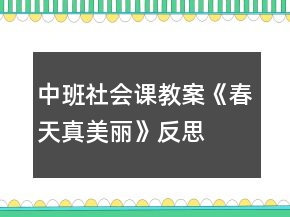 中班社會課教案《春天真美麗》反思