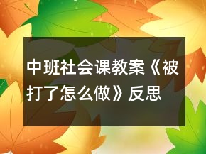 中班社會課教案《被打了怎么做》反思