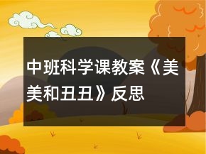 中班科學課教案《美美和丑丑》反思